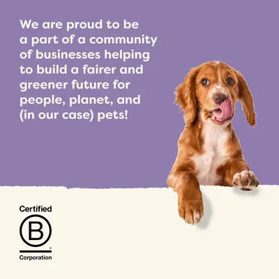 We are proud to be a part of a community of businesses helping to build a fairer and greener future for people, planet, and (in our case) pets! Certified B Corporation.