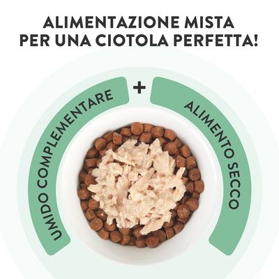 Schesir Complements in brodo 6 x 70 g