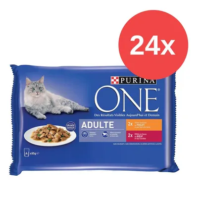 Purina ONE Adulte Katzenfutter, 24x85g, Effilés in Sauce mit Huhn und grünen Bohnen sowie mit Rind und Karotten. Ohne Farbstoffe, Konservierungsstoffe oder künstliche Zusätze.