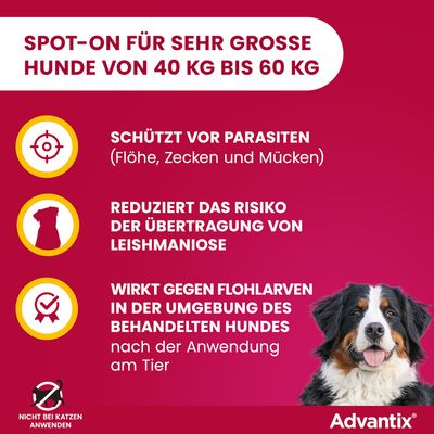 Advantix Spot-On für sehr große Hunde von 40 kg bis 60 kg. Schützt vor Parasiten (Flöhe, Zecken, Mücken), reduziert Risiko der Leishmaniose-Übertragung, wirkt gegen Flohlarven. Nicht bei Katzen anwenden.