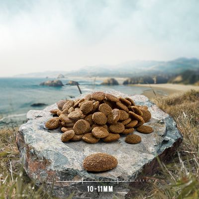 Croquetas redondas de pienso para mascotas sobre una roca, con regla que indica tamaño de 10–11 mm.