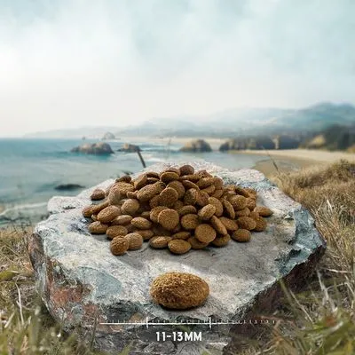 Purizon Puppy Chicken & Fish - Grainfree