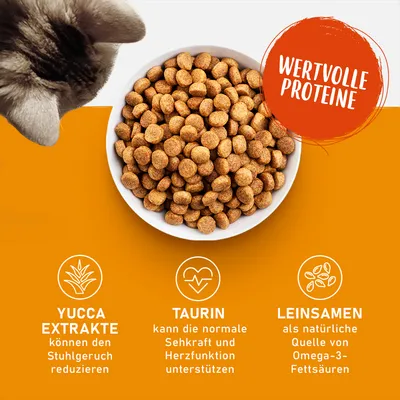 Trockenfutter in Schale mit Text: Wertvolle Proteine. Yucca-Extrakte reduzieren Stuhlgeruch, Taurin unterstützt Seh- und Herzfunktion, Leinsamen liefern Omega-3-Fettsäuren.
