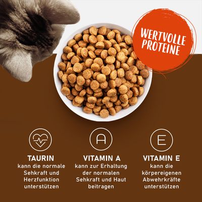 Schüssel mit Trockenfutter. Text: Wertvolle Proteine. Taurin unterstützt Sehkraft und Herzfunktion. Vitamin A trägt zur Erhaltung von Sehkraft und Haut bei. Vitamin E stärkt Abwehrkräfte.