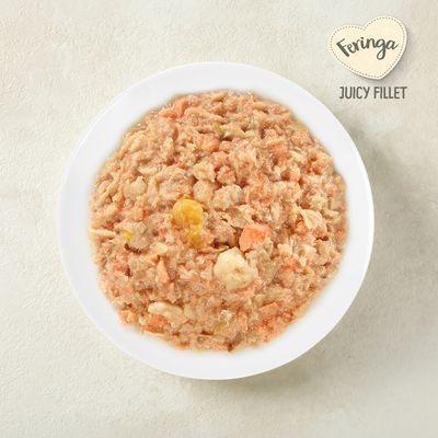 Feringa Juicy Fillet, Lachs mit Garnelen, Adult, 70g Dose. Verpackung zeigt schwarzen Katzenkopf und Portion Futter. Hinweis: 24x70g im orangefarbenen Kreis.