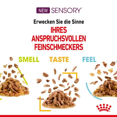 Texte en allemand : Erwecken Sie die Sinne IHRES ANSPRUCHSVOLLEN FEINSCHMECKERS. Texte en anglais : SMELL, TASTE, FEEL. Trois portions de nourriture humide pour animaux illustrées.
