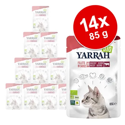 Yarrah Bio Fillets in Sauce met rund voor katten, 14 zakjes à 85 g. Verpakking toont kat, keurmerken AB, BIO en Beter Leven 3 sterren, tekst: 'Fillets in sauce with boeuf/rind/beef/rund'.