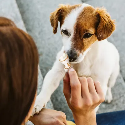 Person holder en hunds pote, symboliserer interaktion og bånd mellem menneske og dyr.