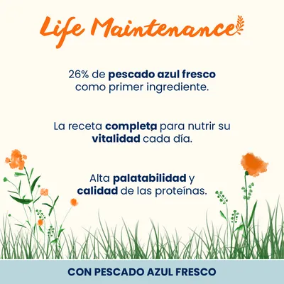 Almo Nature Functional Life Maintenance pescado azul y arroz - 12 kg