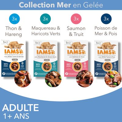 IAMS Collection Mer en Gelée pour chats adultes 1+ ans : 3x Thon & Hareng, 3x Maquereau & Haricots Verts, 3x Saumon & Truit, 3x Poisson de Mer & Pois. 99 % protéines animales indiqué.