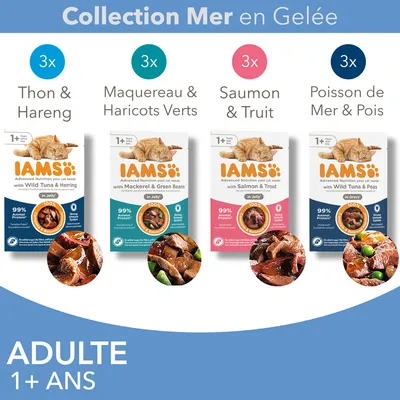 IAMS Collection Mer en Gelée pour chats adultes 1+ ans : 3x Thon & Hareng, 3x Maquereau & Haricots Verts, 3x Saumon & Truit, 3x Poisson de Mer & Pois. 99 % protéines animales indiqué. IAMS Collection Mer en Gelée pour chats adultes 1+ ans : 3x Thon & Hareng, 3x Maquereau & Haricots Verts, 3x Saumon & Truit, 3x Poisson de Mer & Pois. 99 % protéines animales indiqué.