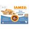 IAMS Advanced Nutrition Adult Mezcla del mar en salsa (12 x 85 g)