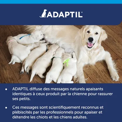 ADAPTIL diffuse des messages naturels apaisants identiques à ceux produit par la chienne pour rassurer ses petits. Ces messages sont scientifiquement reconnus et plébiscités.