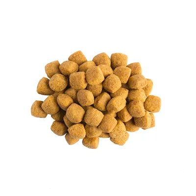 Purina Pro Plan Veterinary Diets Canine EN Gastrointestinal