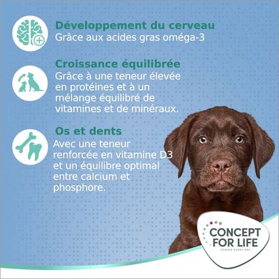 Concept for Life Large Puppy & Junior  - lot % : 2 x 12 kg