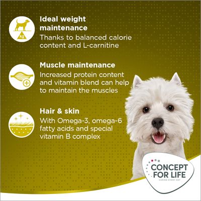 Testo in inglese: Ideal weight maintenance, Muscle maintenance, Hair & skin. Concept for Life Caring Every Day. Immagine di un cane bianco.