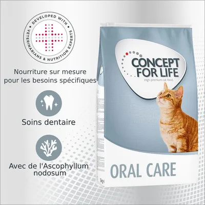 CONCEPT FOR LIFE ORAL CARE, croquettes chat, soins dentaire, avec de l'Ascophyllum nodosum, développé avec vétérinaires et experts nutrition, 3 kg. Nourriture sur mesure pour besoins spécifiques. CONCEPT FOR LIFE ORAL CARE, croquettes chat, soins dentaire, avec de l'Ascophyllum nodosum, développé avec vétérinaires et experts nutrition, 3 kg. Nourriture sur mesure pour besoins spécifiques.
