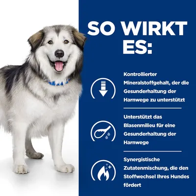 Gereguleerde mineralengehalte ter ondersteuning van de urinewegen, blaasomgeving voor gezonde urinewegen, synergetische ingrediënten bevorderen de stofwisseling van de hond.