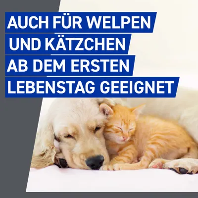 Frontline® Spray für Hund & Katze - 100 ml
