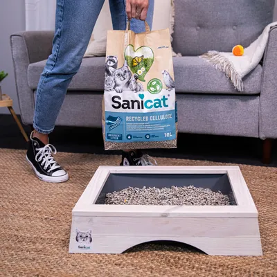 Sanicat Recycled Cellulose arena para gatos, bolsa de 10L. Arena absorbente de celulosa reciclada, apta para areneros. El envase muestra imágenes de animales y símbolo ecológico.