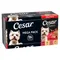 Megapack Cesar Schale 24 x 150 g Classic Terrine