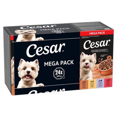 Cesar Vaschette 24 x 150 g Alimento umido per cani Ricette di campagna