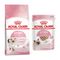 Set prova misto! Royal Canin Kitten secco + umido 400 g crocchette Kitten + 12 x 85 g umido Kitten Mousse