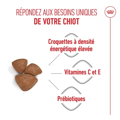 Croquettes à haute densité énergétique, vitamines C et E ainsi que des prébiotiques. Texte : Répondez aux besoins uniques de votre chiot.
