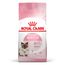 Royal Canin Mother & Babycat 10 kg