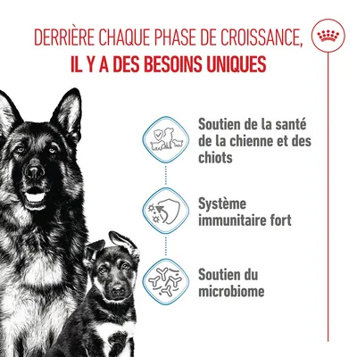 Graphique avec trois points : soutien de la santé de la chienne et des chiots, système immunitaire fort, soutien du microbiome. Texte français sur les besoins uniques.