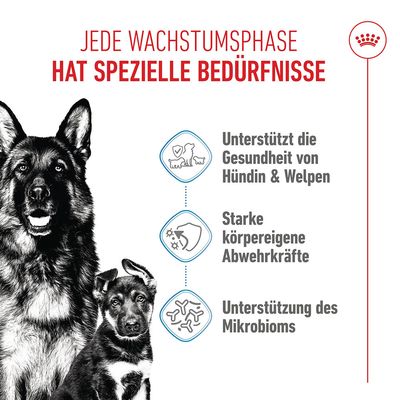 Royal Canin Maxi Starter Mother & Babydog - 15 kg