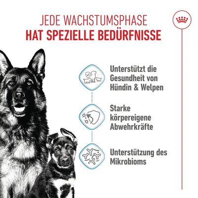 Royal Canin Maxi Starter Mother & Babydog - 15 kg