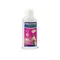Solution à diluer Prozym RF2 pour chien et chat 250 mL