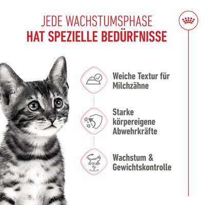 Royal Canin Sterilised Kitten in Soße - 12 x 85 g