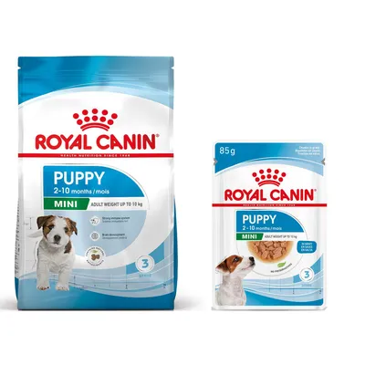 Royal Canin Size pienso para perros + comida húmeda: ¡15 % de descuento! - Maxi Adult (15 kg) + Maxi Adult en salsa (10 x 140 g)