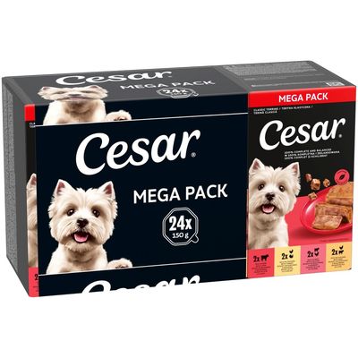 Cesar Classic Terrine Trays in Loaf Mega Pack Cesar Classic Terrine Trays in Loaf Mega Pack