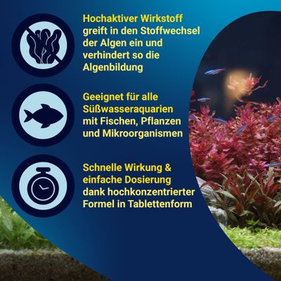 Substance active hautement efficace contre la formation d’algues, adaptée aux aquariums d’eau douce contenant des poissons, des plantes et des micro-organismes. Action rapide et dosage facile sous forme de comprimés.