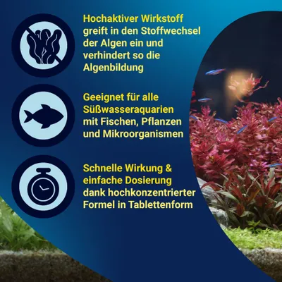 Substance active hautement efficace contre la formation d’algues, adaptée aux aquariums d’eau douce contenant des poissons, des plantes et des micro-organismes. Action rapide et dosage facile sous forme de comprimés. Substance active hautement efficace contre la formation d’algues, adaptée aux aquariums d’eau douce contenant des poissons, des plantes et des micro-organismes. Action rapide et dosage facile sous forme de comprimés.