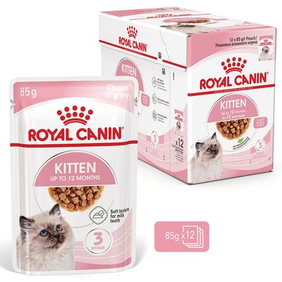 Royal Canin Kitten in Soße