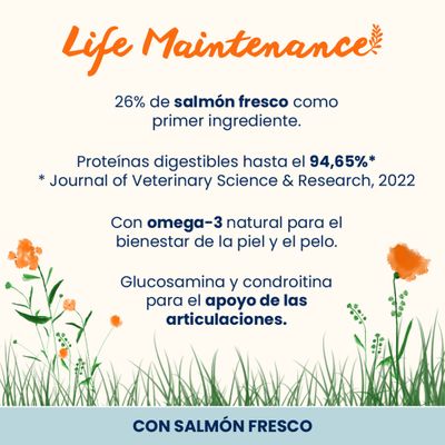 Almo Nature Life Maintenance Adult Large salmón y arroz