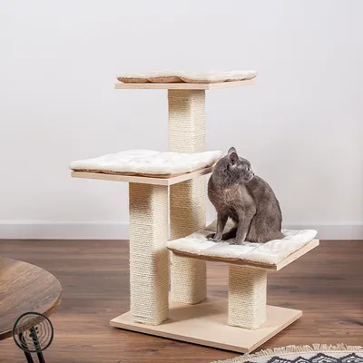 Tiragraffi per gatti in legno chiaro con tre piattaforme rivestite di cuscini beige, colonne in sisal; un gatto grigio seduto sulla piattaforma centrale.