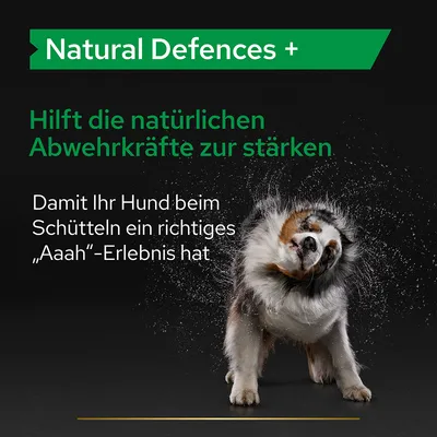Texte en allemand : Natural Defences +. Hilft die natürlichen Abwehrkräfte zur stärken. Damit Ihr Hund beim Schütteln ein richtiges 'Aaah'-Erlebnis hat.