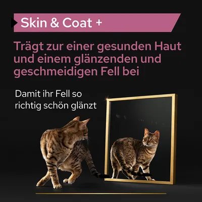 Skin & Coat+. Edistää tervettä ihoa ja kiiltävää, sileää turkkia. Kissa peilin edessä.