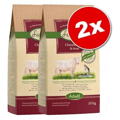 Lot de 2 sacs Lukullus Charolais-Rind & Forelle, Adult, 10 kg chacun. Texte visible : Bœuf charolais & truite, presse à froid, pour chiens adultes.