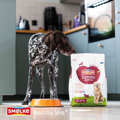 Hond naast Smølke Senior Medium hondenvoer, verpakking met opschrift: Complete all-in-one hondenvoer, vitaal ouder worden, voed de liefde.