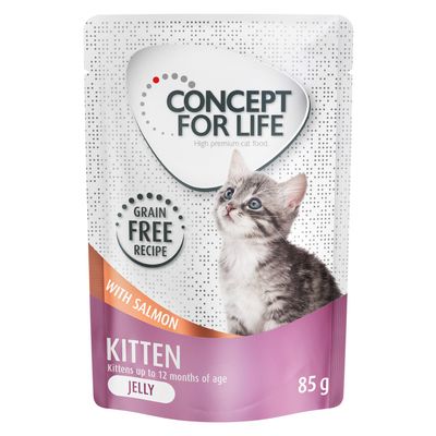 Concept for Life Kitten Senza cereali Salmone - in gelatina 12 x 85 g