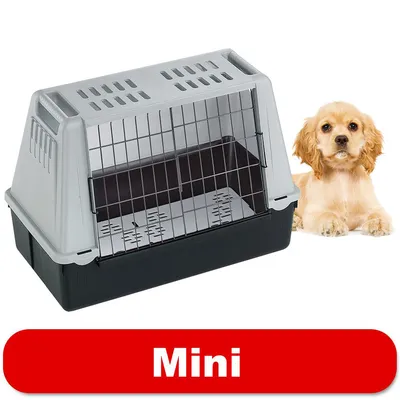 Transporter plastikowy z metalowymi drzwiczkami, obok siedzi mały pies. Na dole czerwony pasek z białym napisem: Mini.