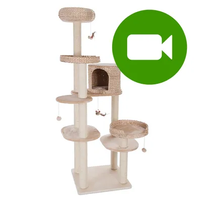 Przycisk odtwarzania wideo. Kliknij tutaj, aby obejrzeć film prezentujący drapak dla kota z sizalu i wikliny, z półkami, budką i zabawkami na sznurkach. Przycisk odtwarzania wideo. Kliknij tutaj, aby obejrzeć film prezentujący drapak dla kota z sizalu i wikliny, z półkami, budką i zabawkami na sznurkach.