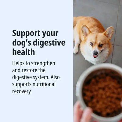 Favorisce la salute digestiva del tuo cane. Rafforza e ripristina il sistema digerente, supporta anche il recupero nutrizionale.