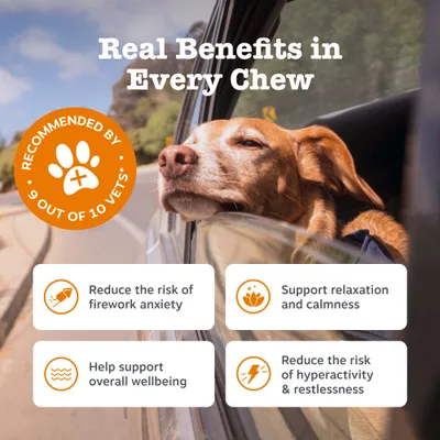 Zesty Paws Calming Chews kalkkuna Zesty Paws Calming Chews kalkkuna